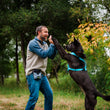 Load image into Gallery viewer, Landscape Series Deluxe Training Pouch in Eclipse - man wearing on belt loop high-fiving his beautiful black dog with both hands
