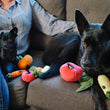 Load image into Gallery viewer, P.L.A.Y. Garden Fresh Collection lifestyle image with mini and regular toys shown on the couch with two different-sized black dogs
