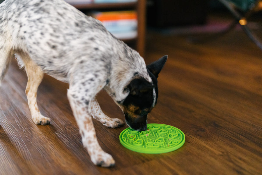 ZoomieRex EverLick Enrichment Feeding Mat by Play Pet Brands