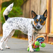 Load image into Gallery viewer, P.L.A.Y. 90s Classics - Dog with paw on Kickflippin' K9 Skateboard Toy outside
