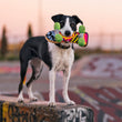 Load image into Gallery viewer, P.L.A.Y. 90s Classics - Dog with Kickflippin' K9 Skateboard Toy in mouth on top of skate park wall
