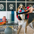 Load image into Gallery viewer, Dog with Ready Player Fun toy in mouth and Howling Headphones around neck - 80s Classics Toy Collection by P.L.A.Y.
