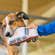 Load image into Gallery viewer, Scruffy dog holding 80s Classics Toy Collection by P.L.A.Y. - Scruffy's Station Waggin' Toy in mouth with human holding onto outdoors
