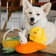Load image into Gallery viewer, Hippity Hoppity Collection by P.L.A.Y. - Corgi pictured smiling with all three toys

