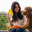 Load image into Gallery viewer, Hippity Hoppity Collection by P.L.A.Y. - dog mom presenting chick in egg toy to dog with carrot toy on lap
