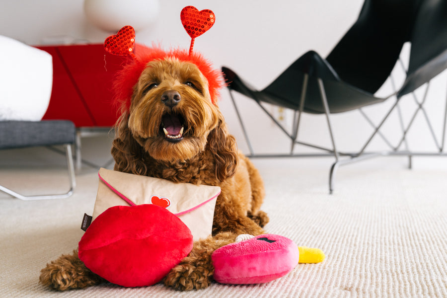Valentine's Day Dog Toys: Love Bug Collection by Play Pet Brands