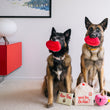 Load image into Gallery viewer, Love Bug Collection by P.L.A.Y. - two big dogs with lips in their mouths and other toys at their feet

