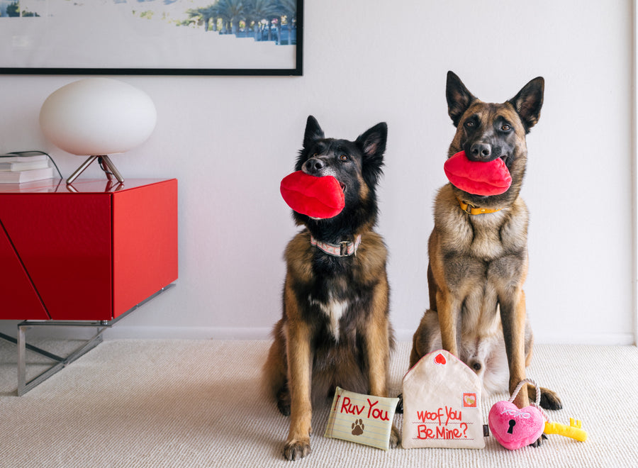 Valentine's Day Dog Toys: Love Bug Collection by Play Pet Brands