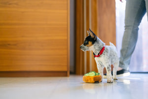 Barking Brunch