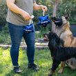 Load image into Gallery viewer, Party Time Collection by P.L.A.Y. - small and large dogs with two sizes of balloon toys
