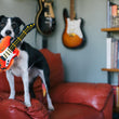 Load image into Gallery viewer, P.L.A.Y. 90s Classics - Rock'n Rollover Toy in dog's mouth on couch

