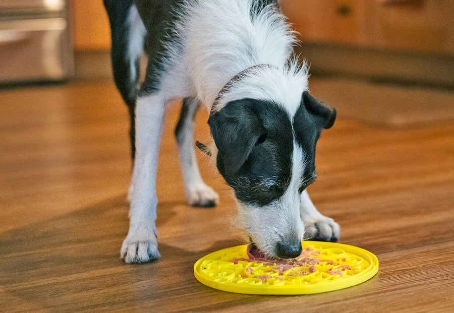 ZoomieRex EverLick Enrichment Feeding Mat by Play Pet Brands