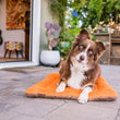 Load image into Gallery viewer, Original Chill Pad in Pumpkin with dog lounging on patio
