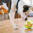 Load image into Gallery viewer, P.L.A.Y. Wobble Ball 2.0 PY7040BUF
